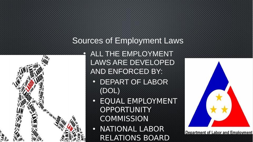 Labor and Employment Laws: Sources, Enforcement, and Violations_2