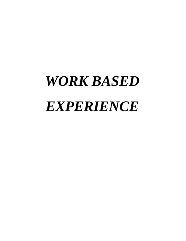 WORK BASED EXPERIENCE_1