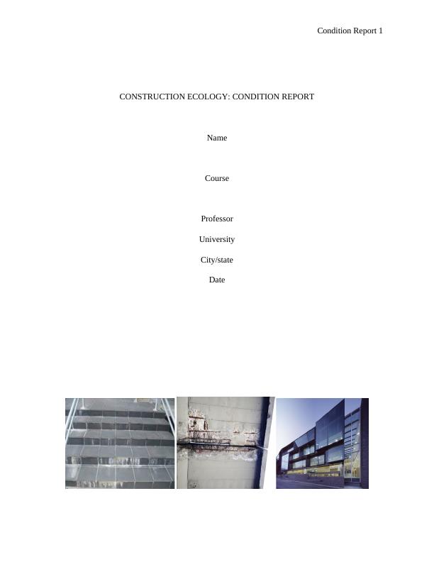 Premature decay and failure of building materials: a condition report_1