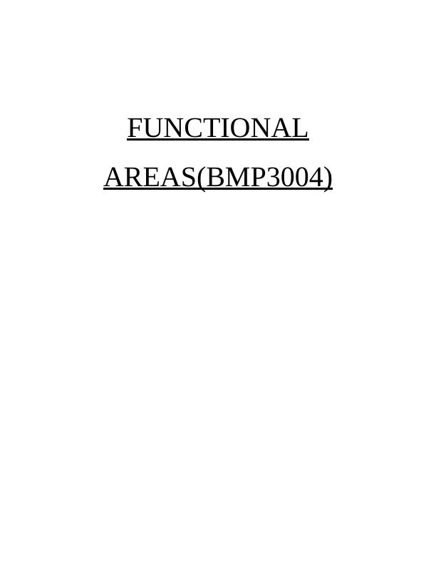 Functional Areas in Business Organization_1