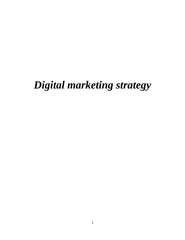 Digital Marketing Strategy for Uniblue Systems Ltd_1