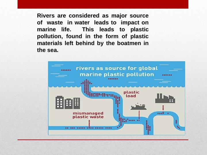 Impact of Plastic Pollution on Marine Life_3