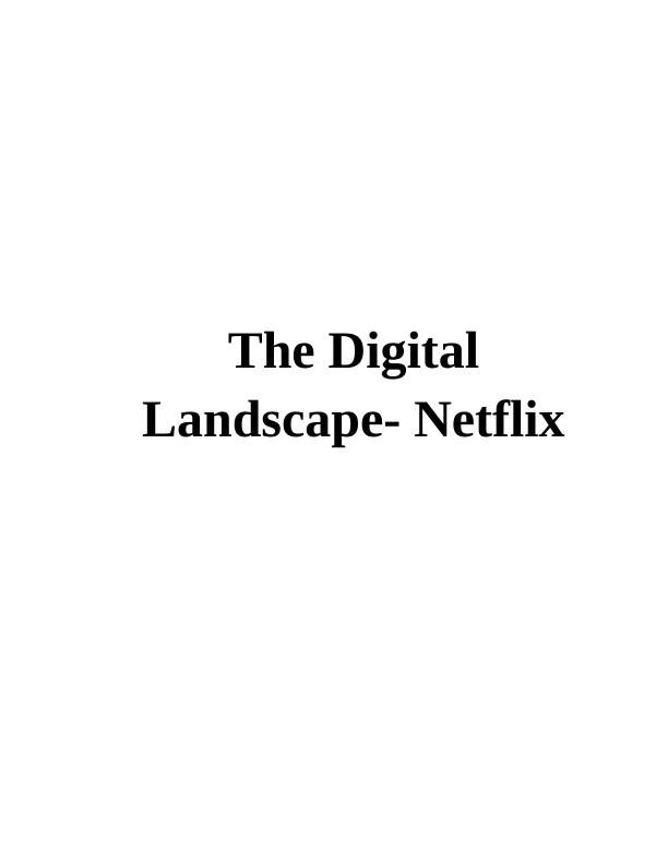 The Digital Landscape- Netflix_1