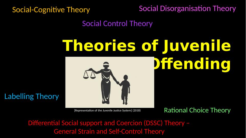 Theories of Juvenile Offending_1