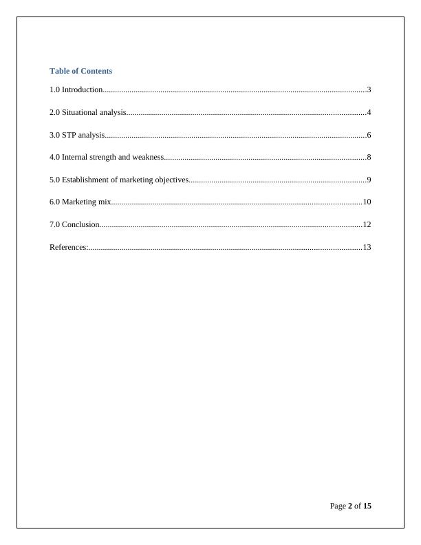 marketing audit assignment pdf