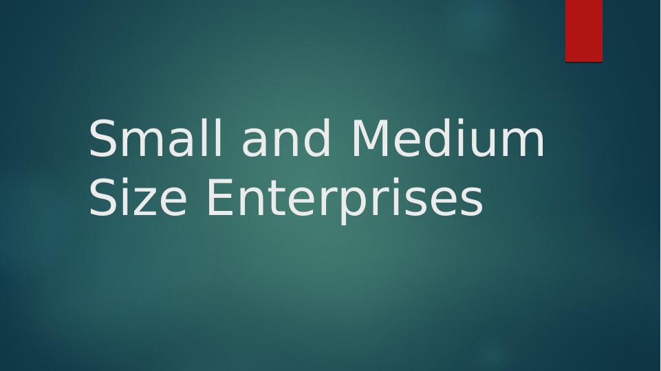 Small and Medium Size Enterprises PowerPoint Presentation 2022_1
