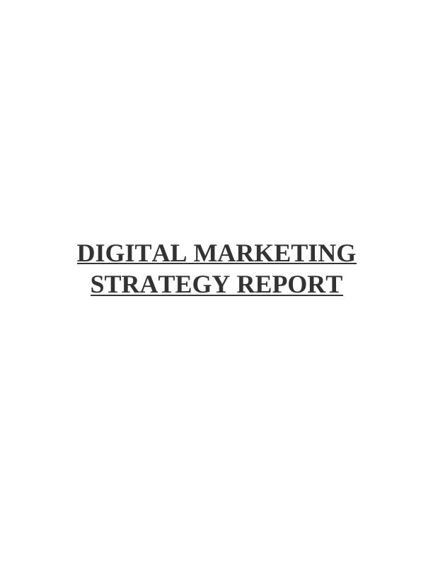 digital-marketing-strategy-report-desklib