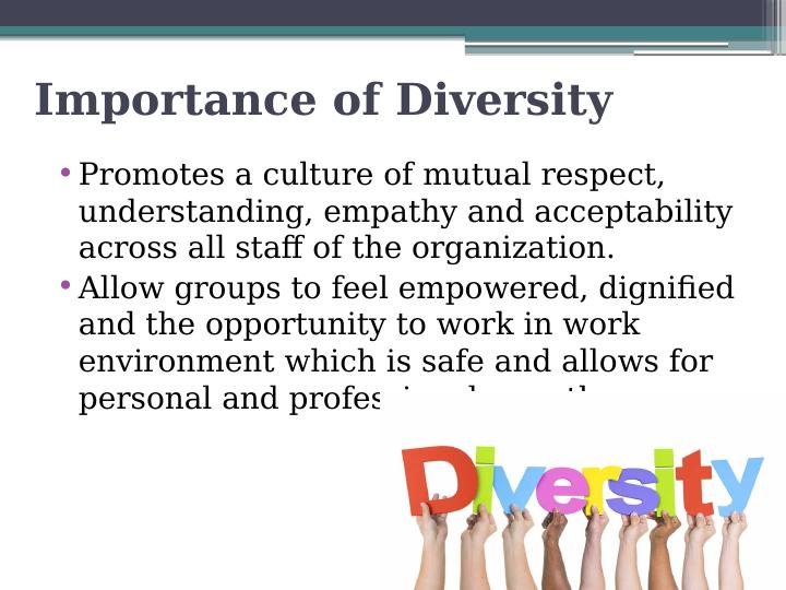 Workplace Diversity Policy Power Point Presentation 2022_4