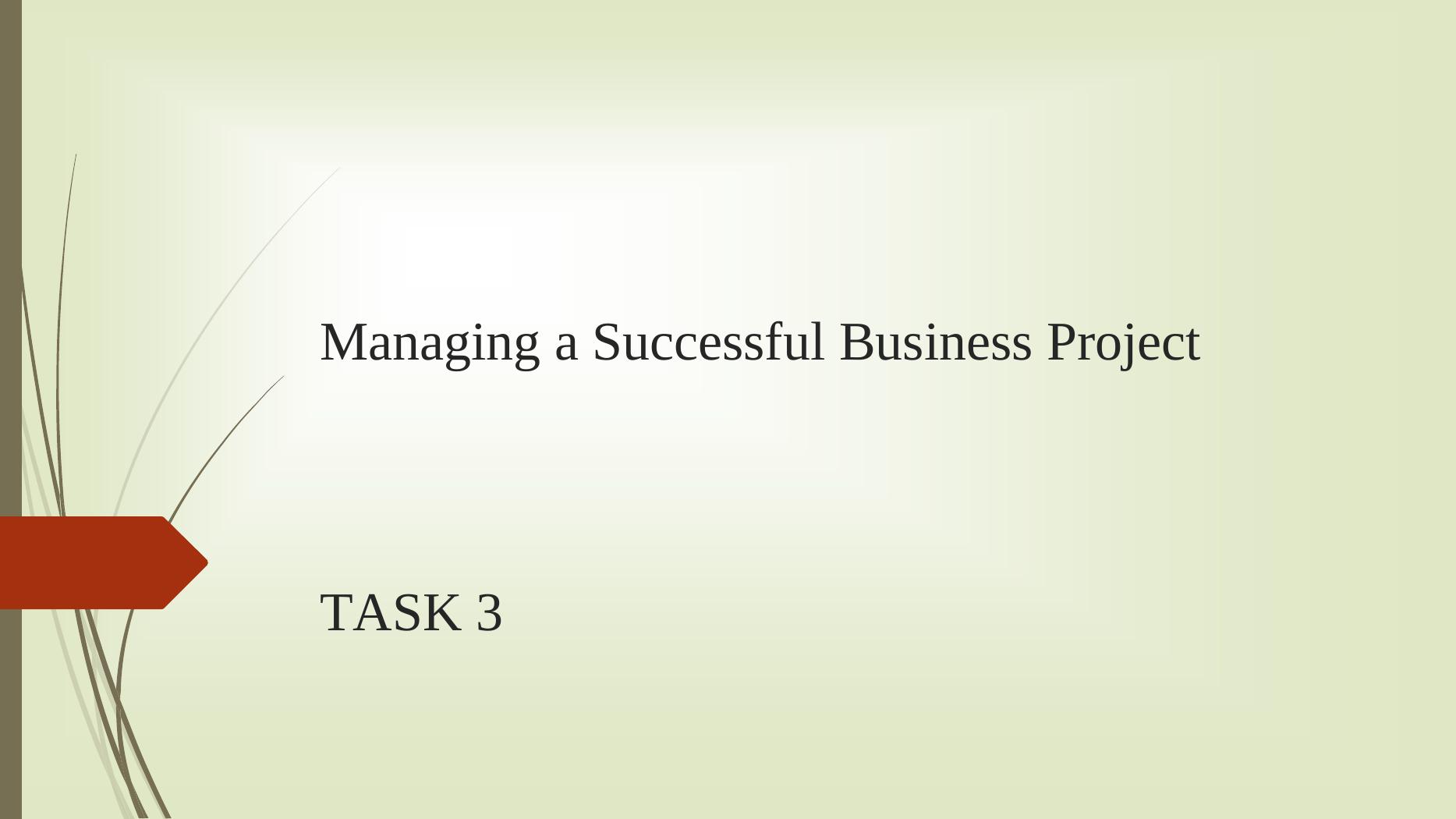 Managing A Successful Business Project