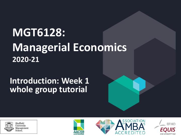 MGT6128: Managerial Economics_1