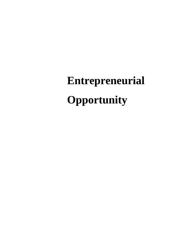 Entrepreneurial Opportunity PDF_1