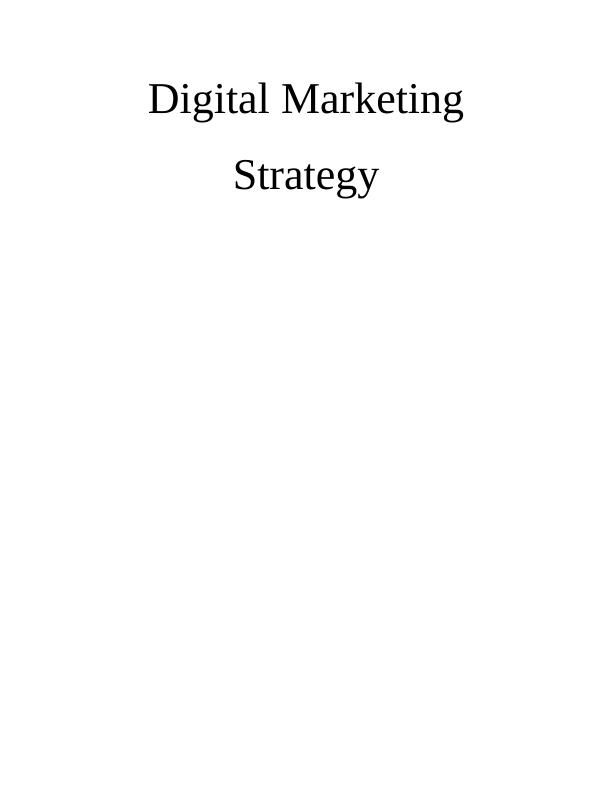 Digital Marketing Strategy - TUI Assignment_1