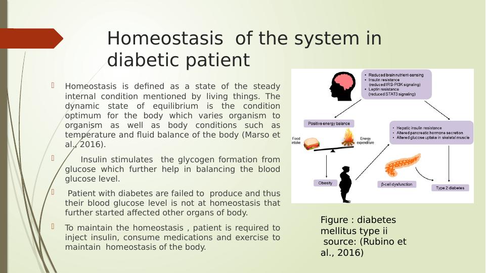 Diabetes Mellitus (Type II): Pathophysiology, Symptoms, Treatment and Relevance to Nursing Practice_3