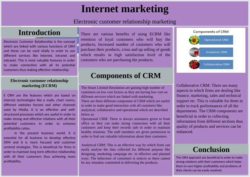 Internet marketing Electronic customer relationship marketing._1