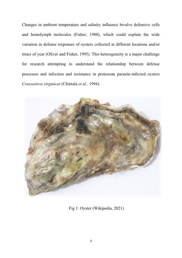 Oysters Classification, Nutrition and benefits