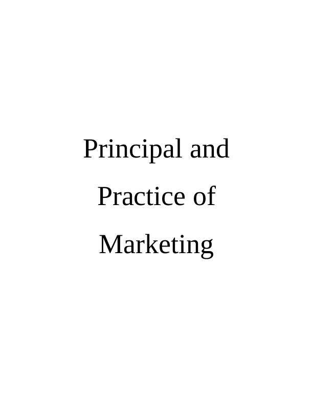 Principle and Practice of Marketing (doc)_1