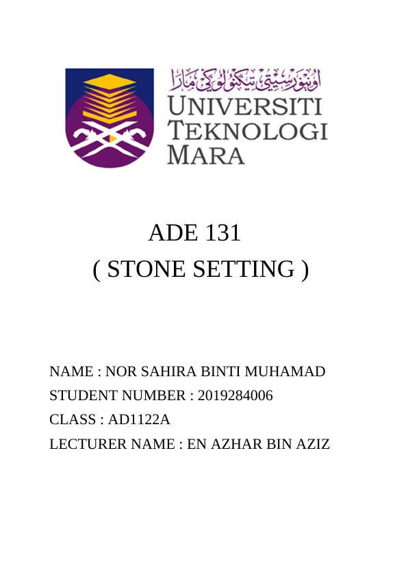 Faceted Stone Assignment (PDF)_1