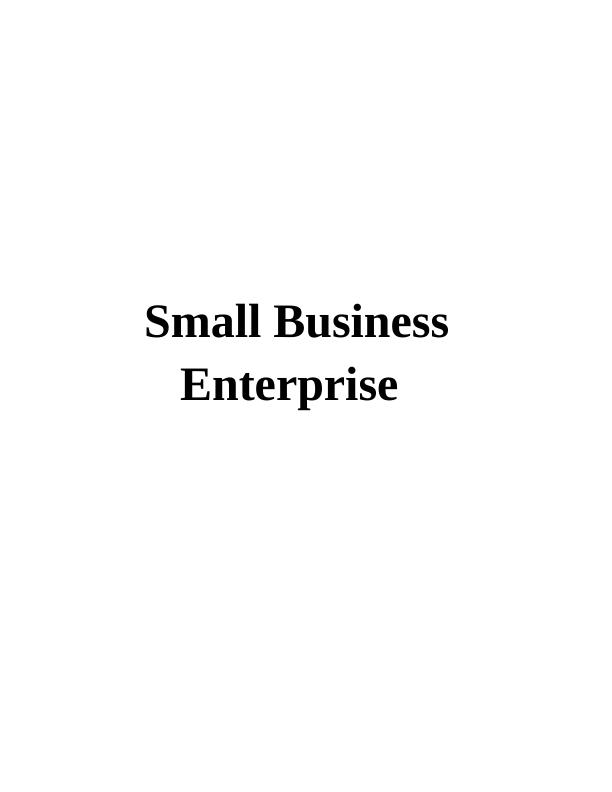 Small Business Enterprise_1