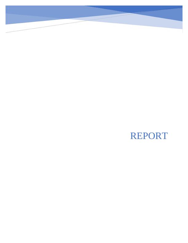 Report on the Operational Issues of the National Bank Australia_1