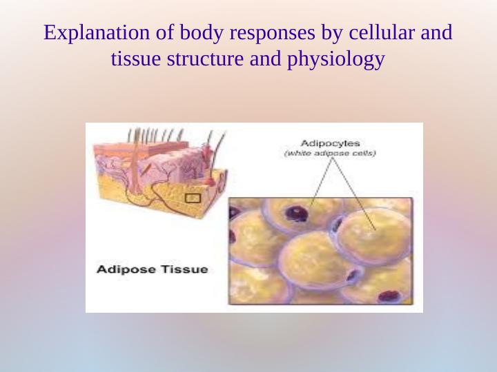 Body Responses to Physical Activities and Physiology_5