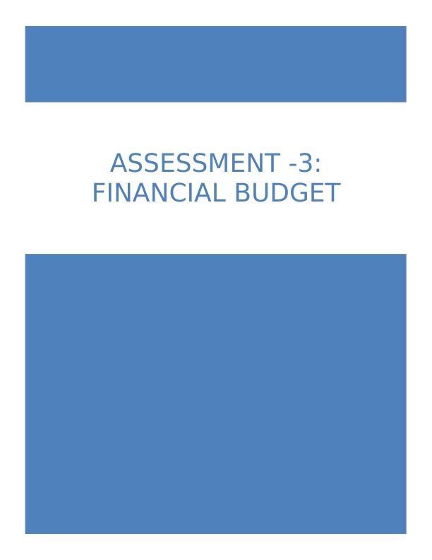 Financial Budget: Income Statement, Balance Sheet, Cash Flow_1