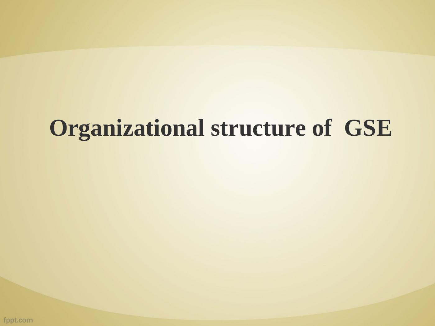 Organizational Structure of GSE_2
