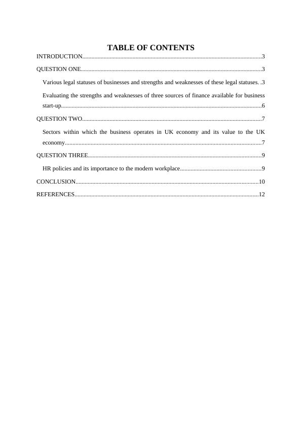 Structure of Business - Audit Report_2