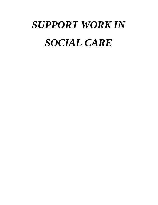 Support Work in Social Care - Report_1