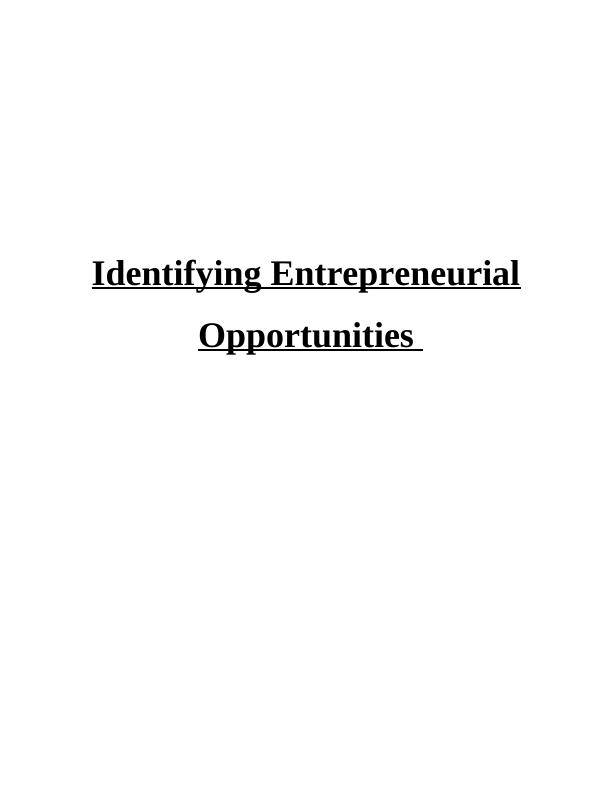 Identifying Entrepreneurial Opportunities Essay_1