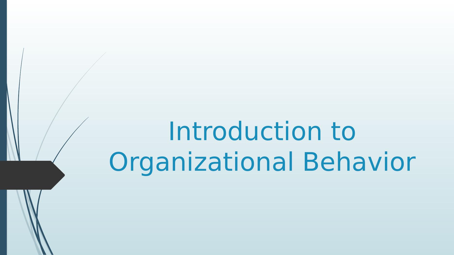 Introduction to Organisational Behaviour