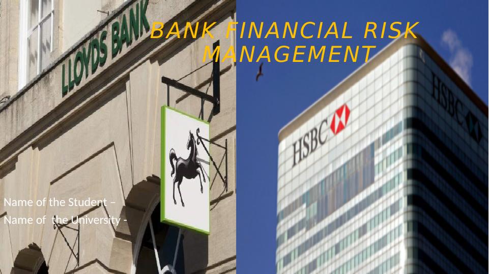 BK7019 bank financial  risk management_1