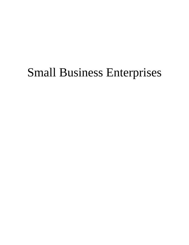 Small Business Enterprises Analysis of the Black Penny_1