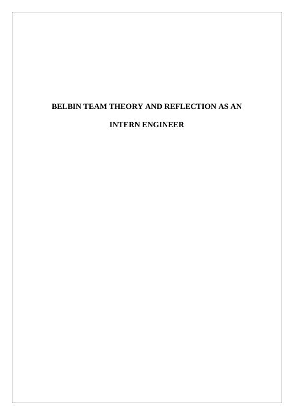 Belbin Team Theory and Reflection as an Intern Engineer_1