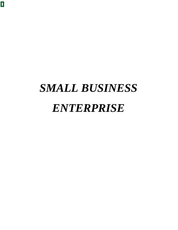 Small Business Enterprise Assignment - Baby Bear_1