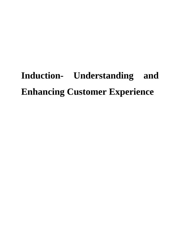 Understanding and Enhancing Customer Experience Assignment (Doc)_1