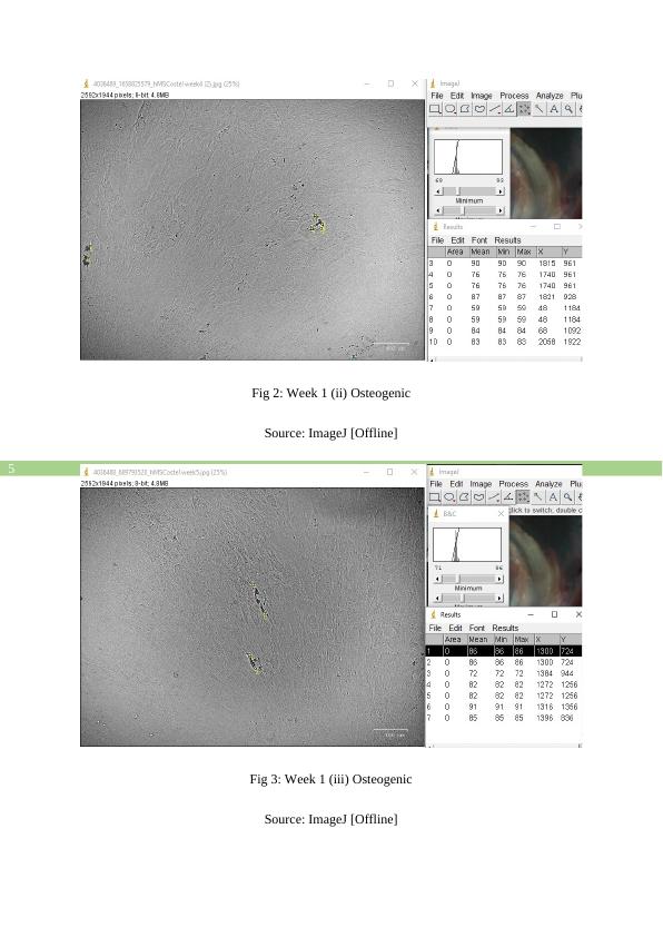 International Society for Optics and Photonics