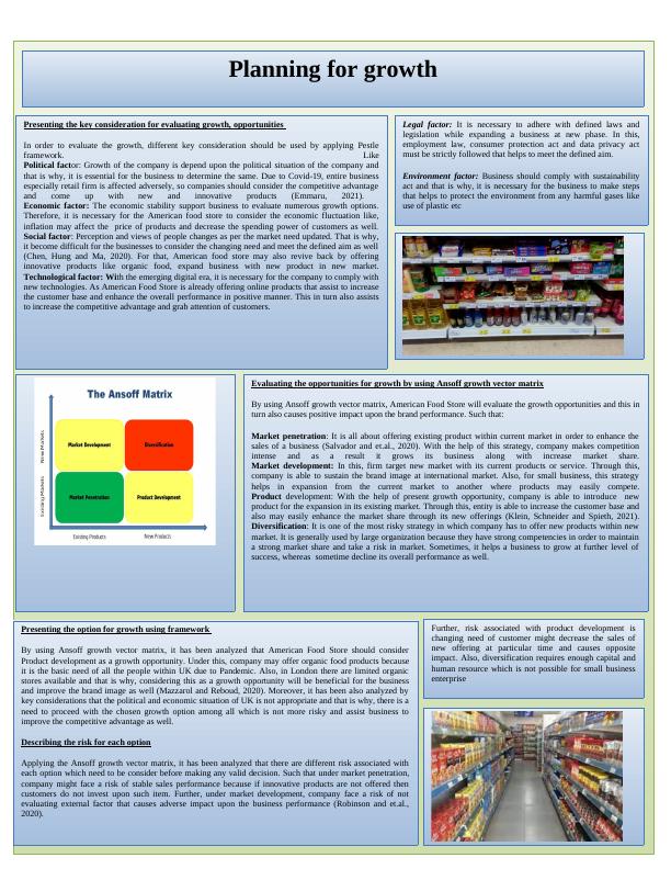 Planning for Growth: Evaluating Opportunities and Funding Sources for American Food Store_3