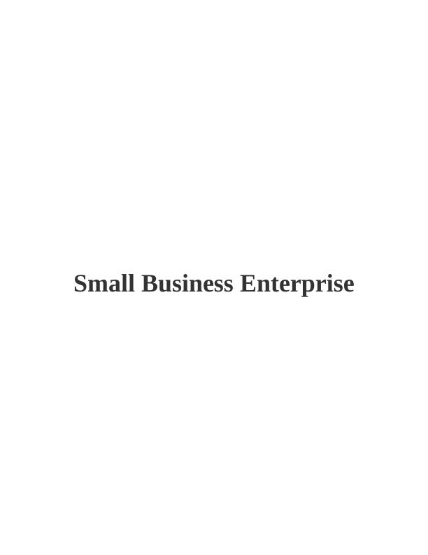 Small Business Enterprise: Assignment_1