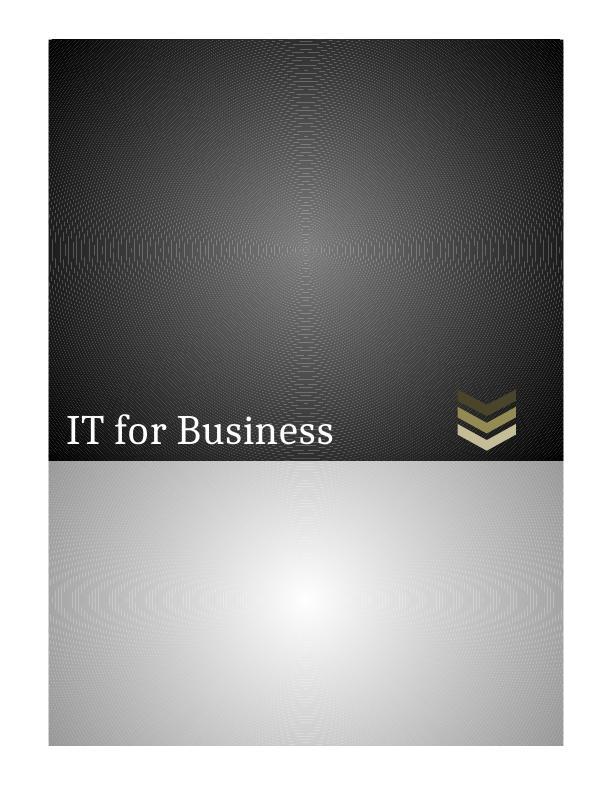 The Importance of Information Technology In Business (pdf)_1