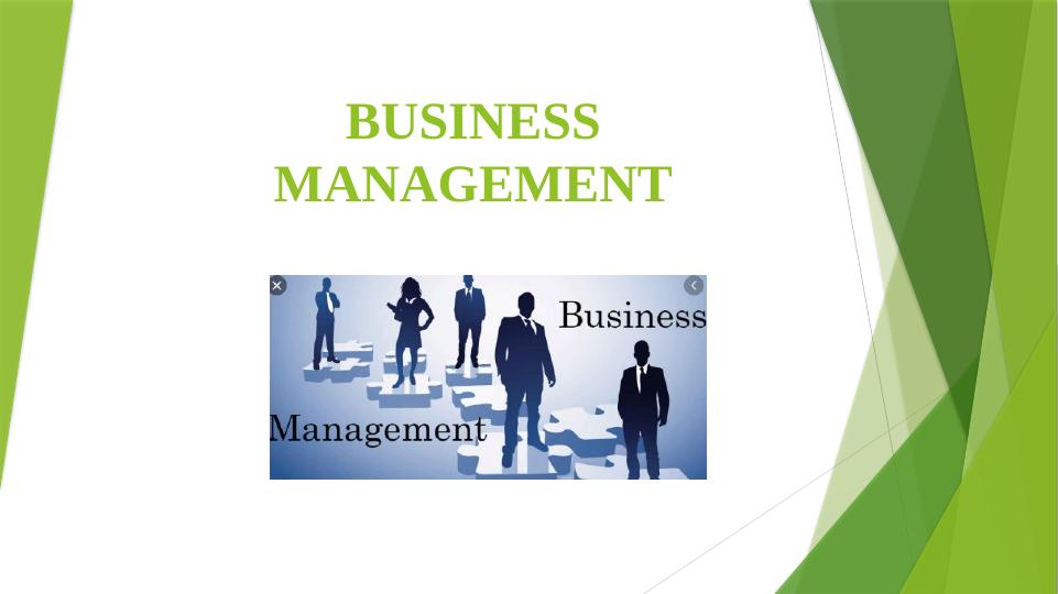 Business Management: Developing an Online Car Washing Business_1