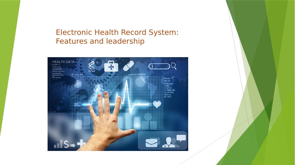 Electronic Health Record System: Features and Leadership_1