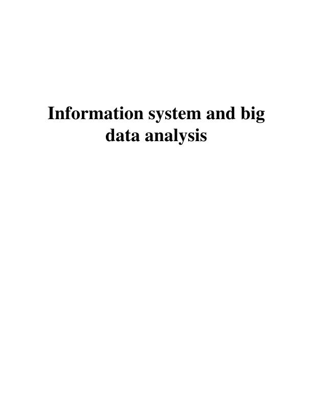 Information System and Big Data Analysis_1
