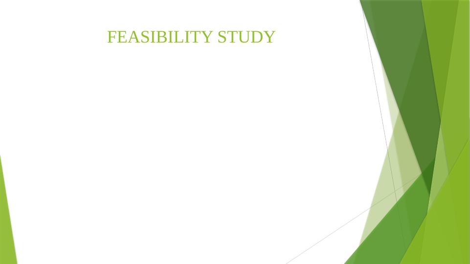 Feasibility Study_1