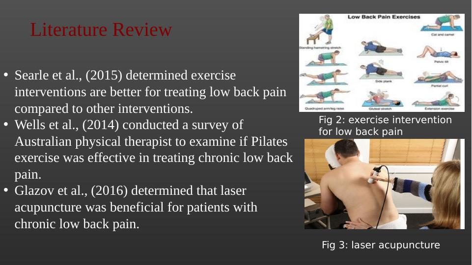 Management of Chronic Lower Back Pain