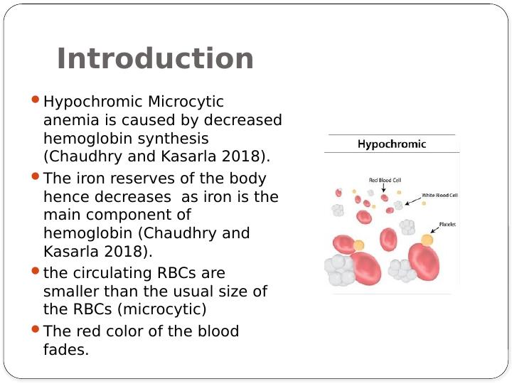 Hypochromic Microcytic Anemia: Causes, Pathogenesis, and Diagnostic Approaches_2
