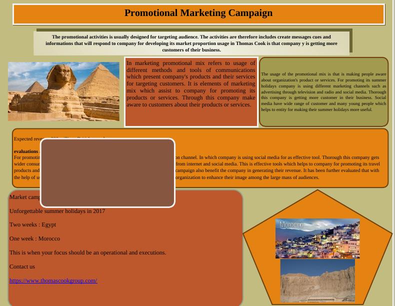 Promotional Marketing Campaign The promotional activities is_1