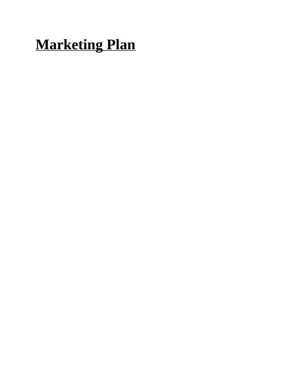 Marketing Plan for Burberry: Strategies, STP, and Innovations_1