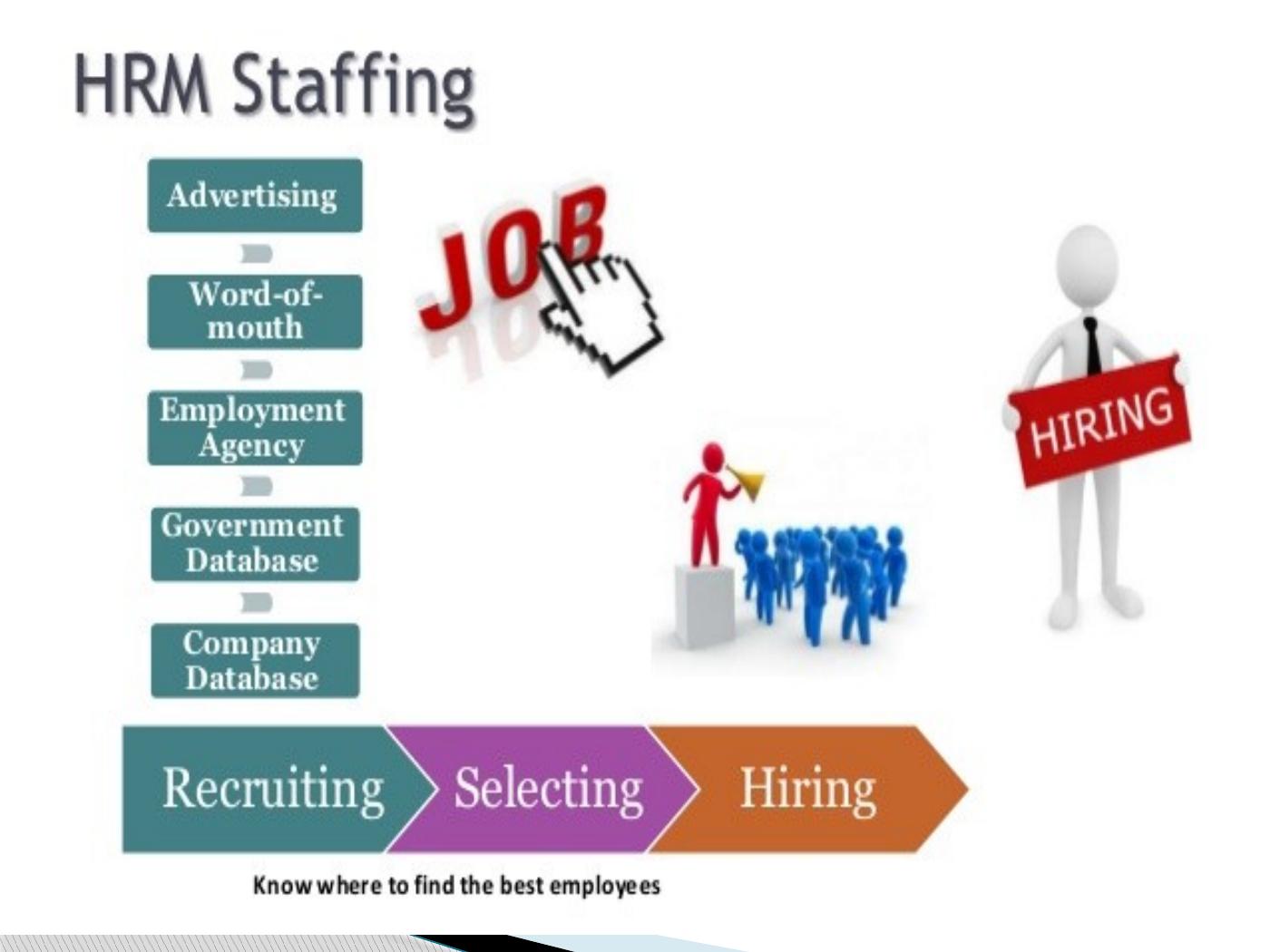 Function of Human Resource Management (HRM)