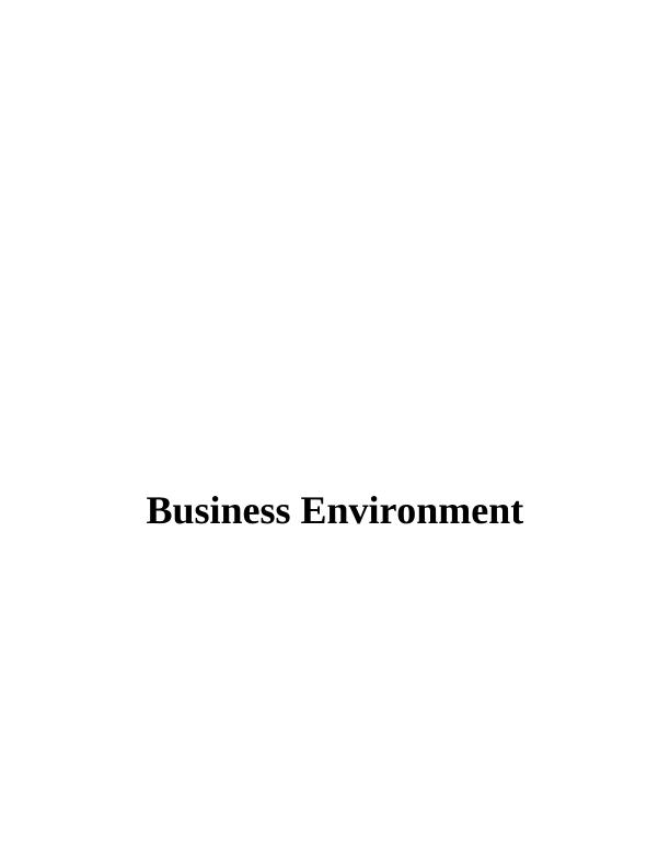 Business Environment - Primark_1
