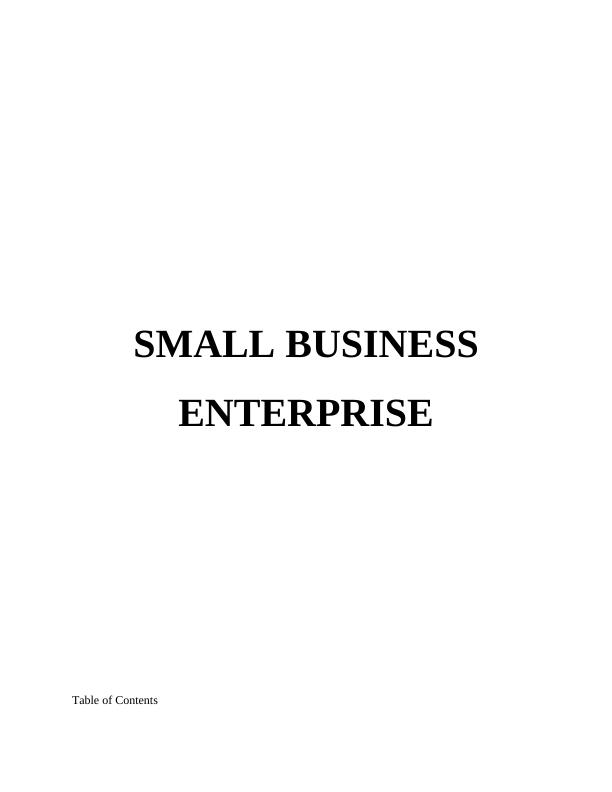Positive and Negative Points of Small Business Enterprises_1